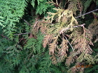 DSC01744.JPG