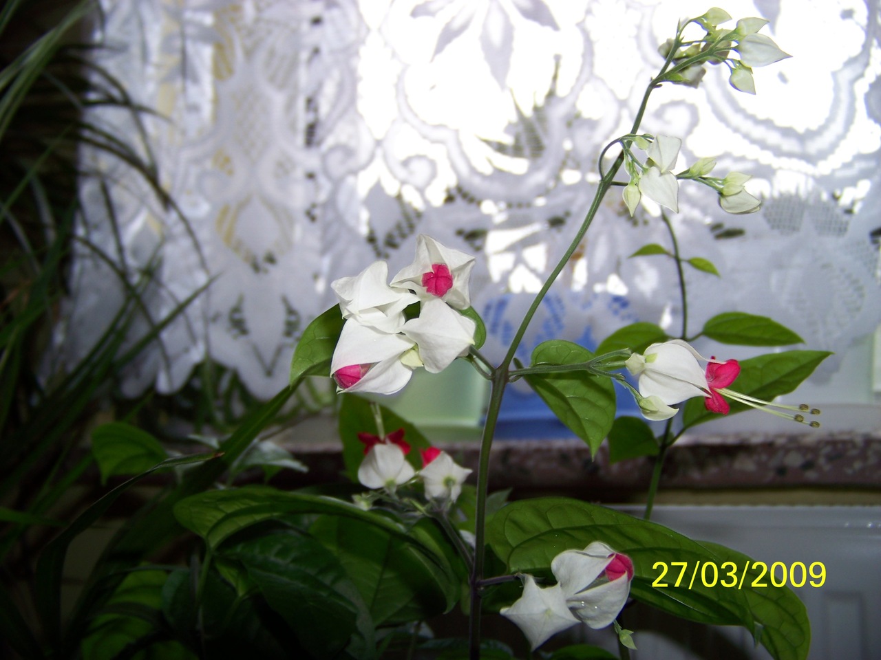 100_0410_Easy-Resize.com.jpg