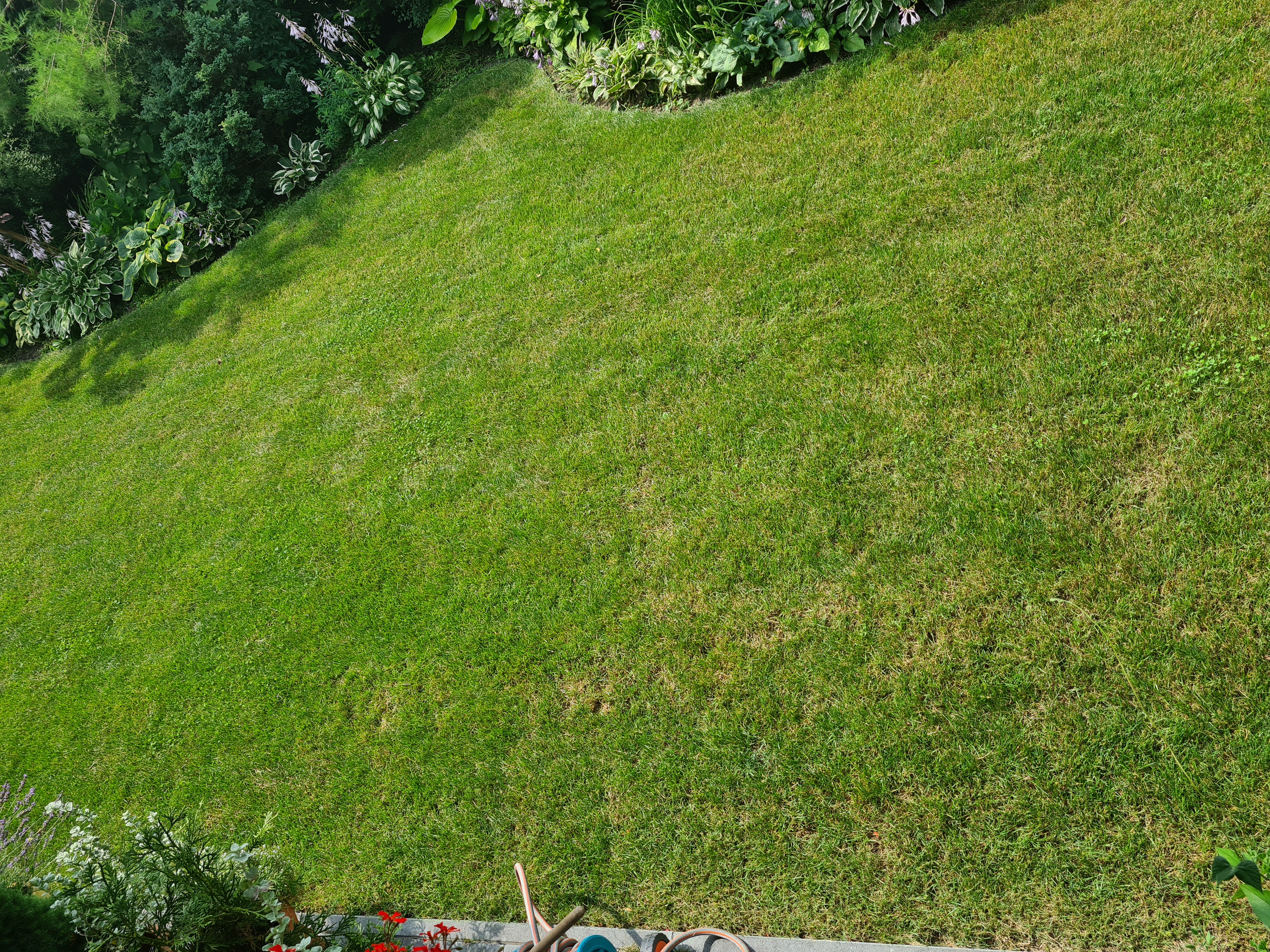 20210715_115046.jpg