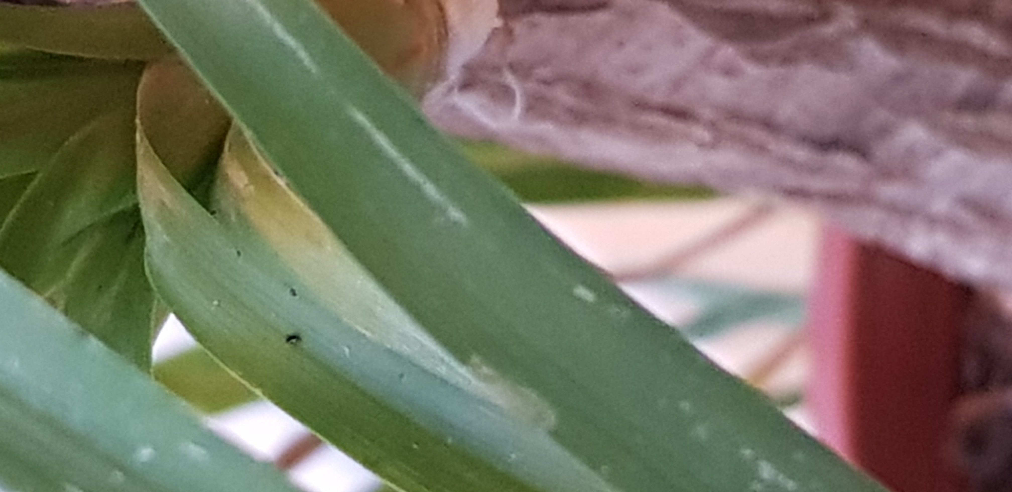 20220206_155302.jpg
