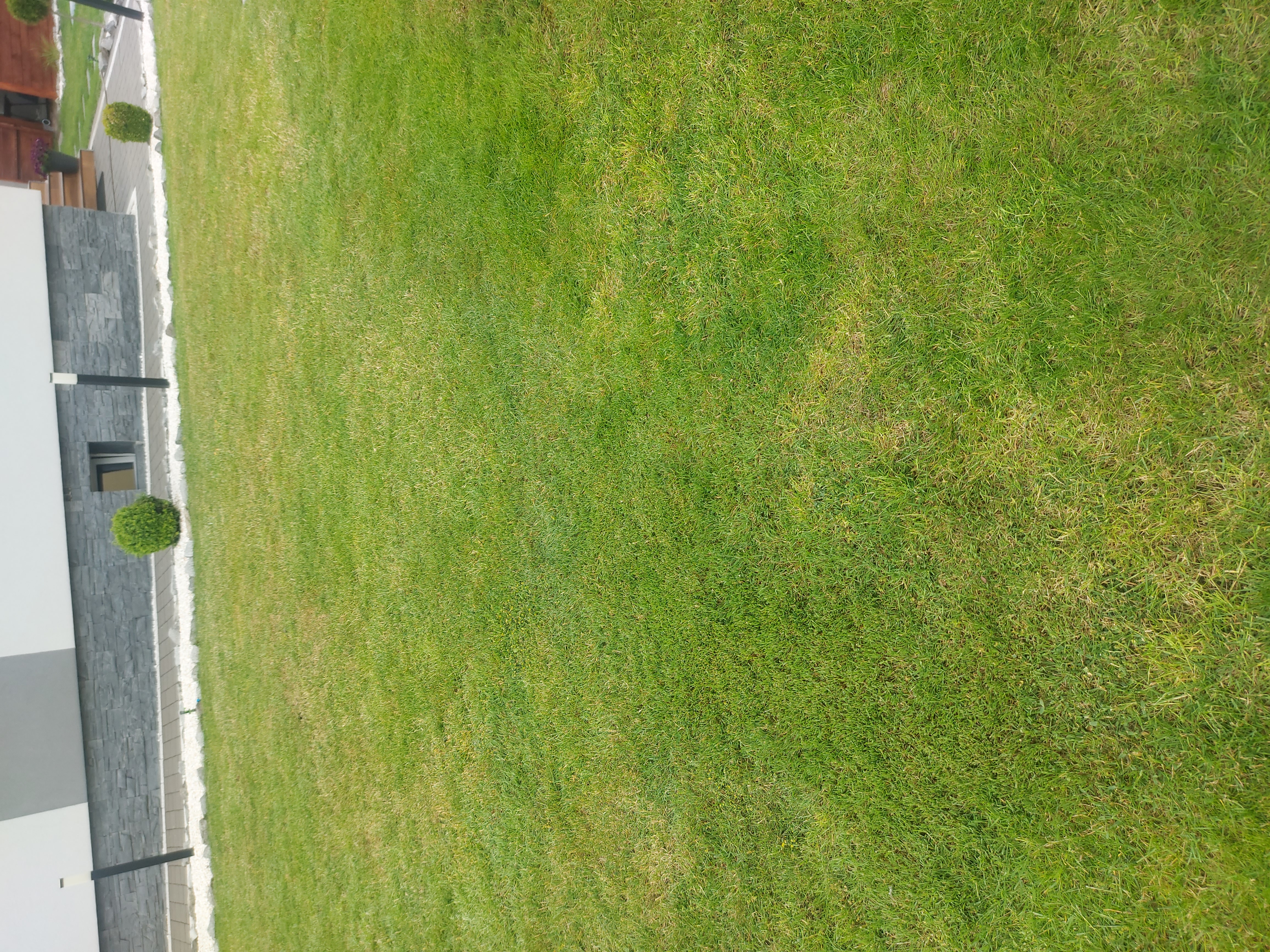 20240603_192752.jpg