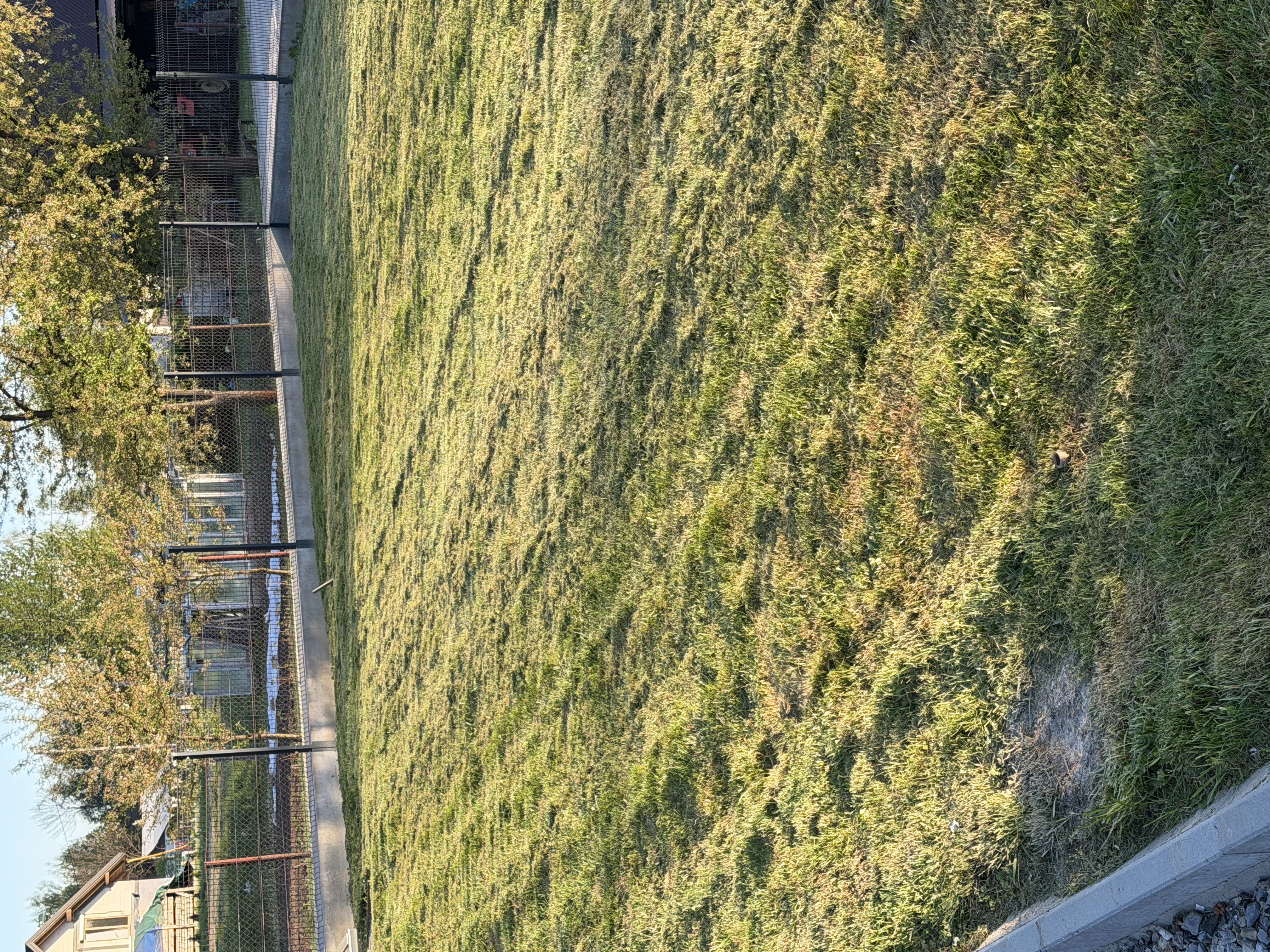 IMG_4242.jpeg