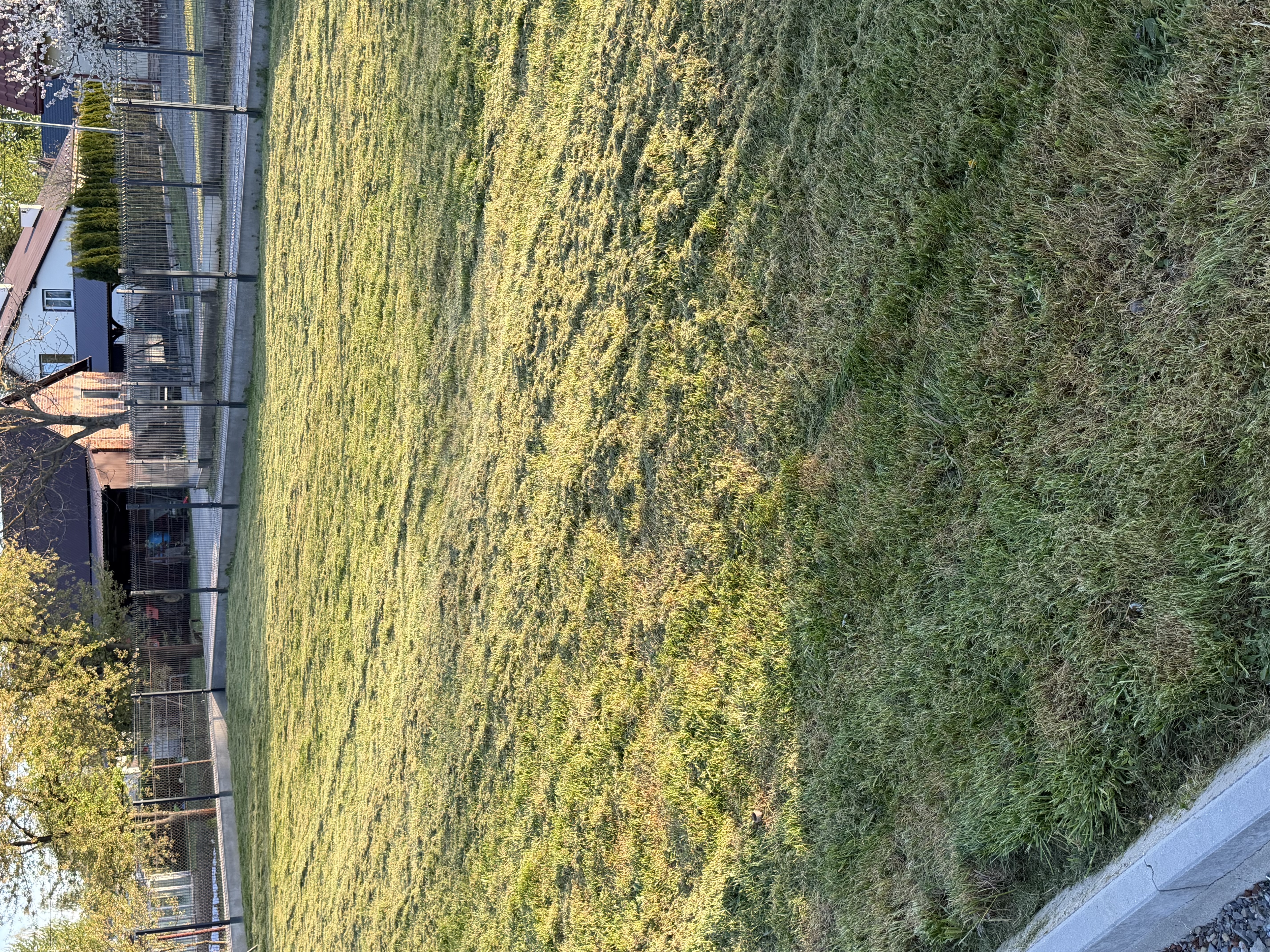 IMG_4240.jpeg